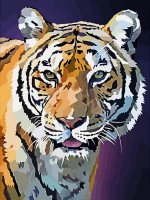 Malování na plátno podle čísel - Tygr v noci - 30 x 40 cm - 1007568